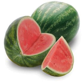 sandia