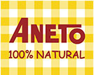 logo aneto