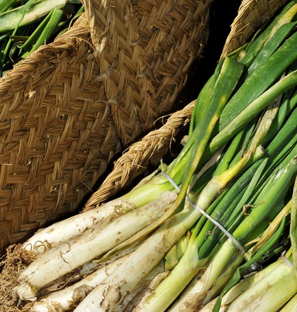 Calçots2021